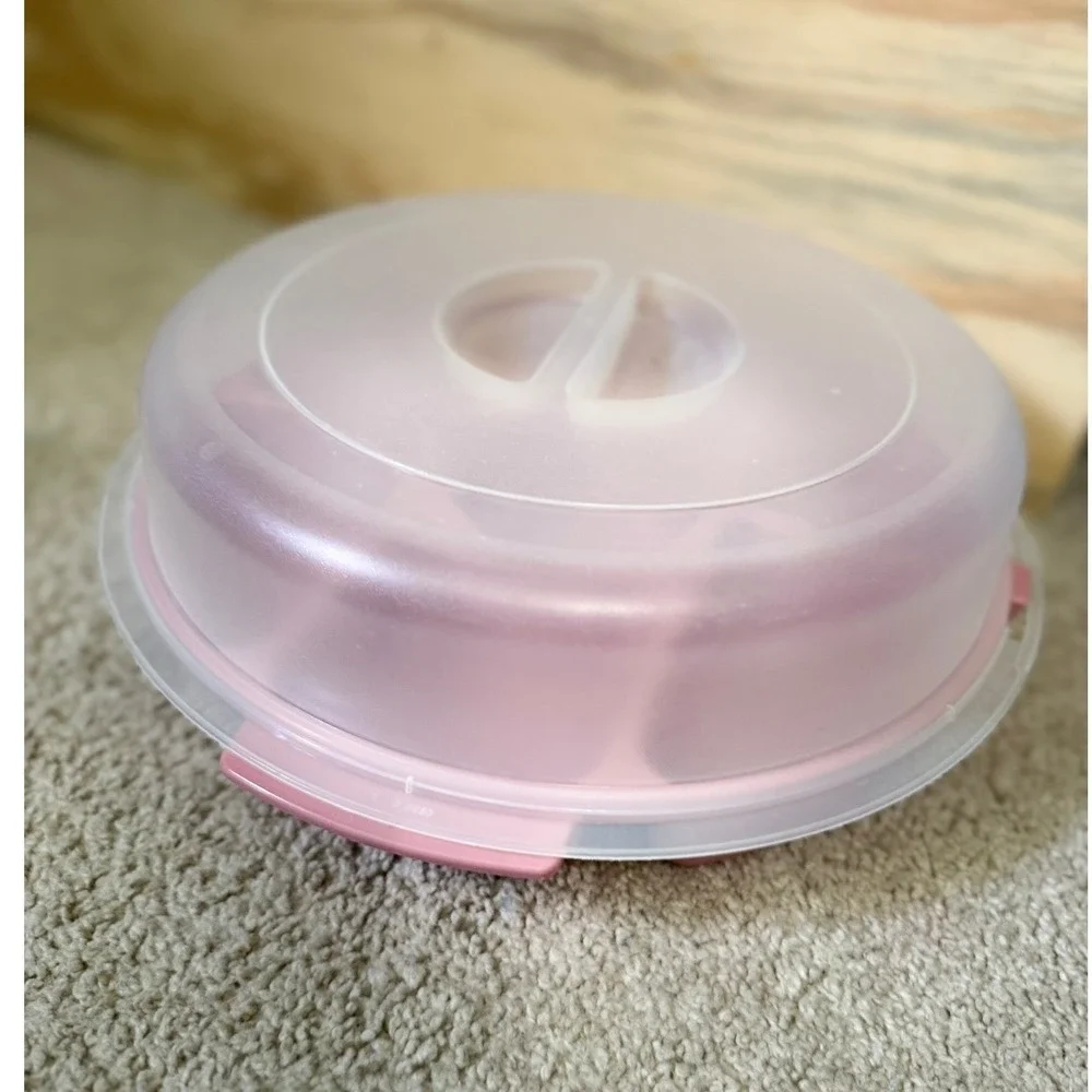 Vintage Rubbermaid Servin Saver 12in Mauve Veggie Dip Tray